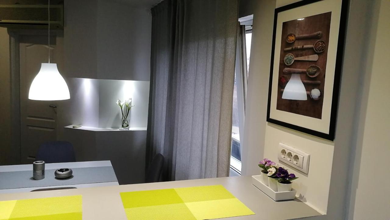 Mansarda Apartment Belgrad Dış mekan fotoğraf